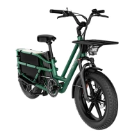 Fiido T2 Longtail Cargo Electric Bike - 2023 | 750W Power | 20Ah Battery | 25mph Speed | 69mi Range