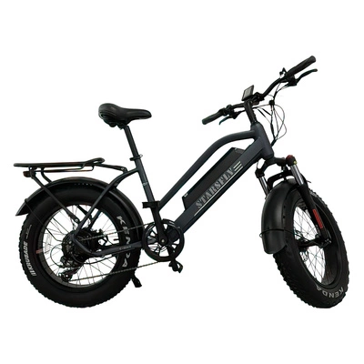 Allegro PowerStep Electric Bike - 500W Power | 15Ah Battery | 25mph Speed | 41mi Range | TDL6156