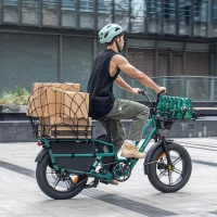 Fiido T2 Longtail Cargo Electric Bike - 2025 | 250W Power | 20.8Ah Battery | 25mph Speed | 85mi Range