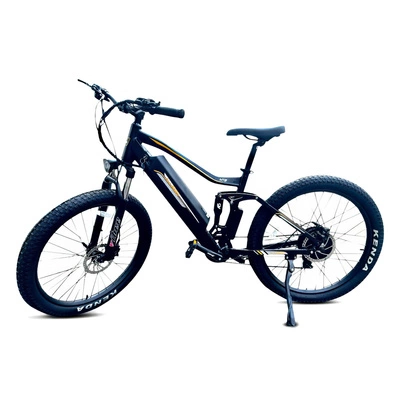 Allegro MTB Electric Bike - 1000W Power | 20Ah Battery | 30mph Speed | 84mi Range