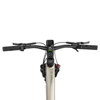 Fiido Nomads Touring Electric Bike  - 250W Power | 11.7Ah Battery | 15.5mph Speed | 49mi Range | Single Battery 