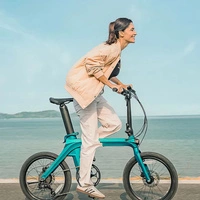 Fiido X 2025 Foldable Electric Bike - 250W Power | 11.6Ah Battery | 15.5mph Speed | 81mi Range | Rise Handlebar