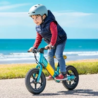 Fiido K1 Electric Balance Bike - 80W Power | 5.8Ah Battery | 7.5mph Speed | 12mi Range