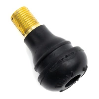 Air Valve Tubeless Conversion