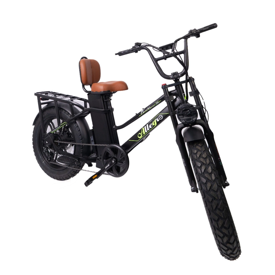 Allegro Star Power Electric Bike - 750W Power | 35Ah Battery | 30mph Speed | 90mi
