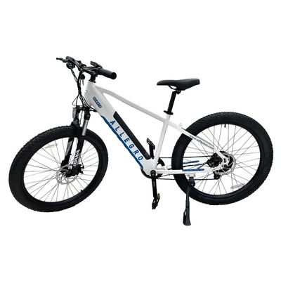 Allegro City Cruiser Electric Bike - 750W Power | 13Ah Battery | 21mph Speed | 45mi Range