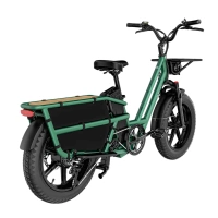 Fiido T2 Longtail Cargo Electric Bike - 2023 | 750W Power | 20Ah Battery | 25mph Speed | 69mi Range