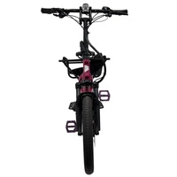 Tern GSD S10 Electric Cargo Bike - 250W Power | 14Ah Battery | 15.5mph Speed | 53mi Range | Refurbished