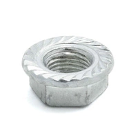 Motor Nut Kugoo M4 / Pro