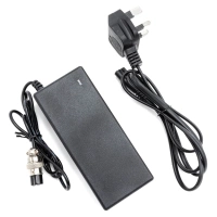 Charger for Kugoo M4