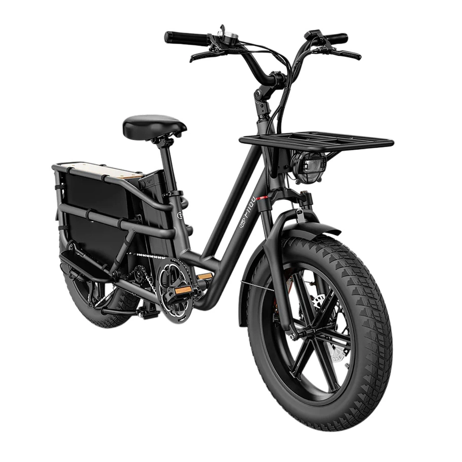 Fiido T2 Longtail Cargo Electric Bike - 2025 | 250W Power | 20.8Ah Battery | 25mph Speed | 85mi Range