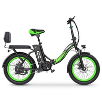 Hidoes C1 Foldable Electric Bike - 750W Power | 13Ah Battery | 25mph Speed | 37mi Range