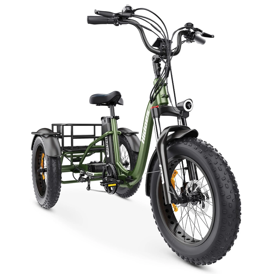 Hidoes ET1 Electric Tricycle - 750W Power | 20Ah Battery | 25mph Speed | 59mi Range