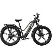 Fiido Titan 2025 Electric Bike - 750W Power | 14.5Ah Battery | 28mph Speed | 216mi Range | 3 Batteries with Rack