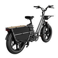 Fiido T2 Longtail Cargo Electric Bike - 2025 | 250W Power | 20.8Ah Battery | 25mph Speed | 85mi Range