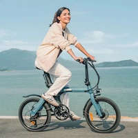 Fiido D11 2024 Foldable Electric Bike - 250W Power | 11.6Ah Battery | 15.5mph Speed | 62mi Range