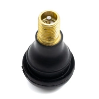 Air Valve Tubeless Conversion