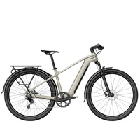 Fiido Nomads Touring Electric Bike  - 250W Power | 11.7Ah Battery | 15.5mph Speed | 49mi Range | Single Battery 