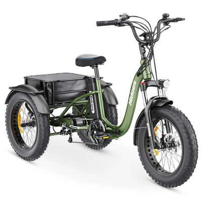 Hidoes ET1 Electric Tricycle - 750W Power | 20Ah Battery | 25mph Speed | 59mi Range